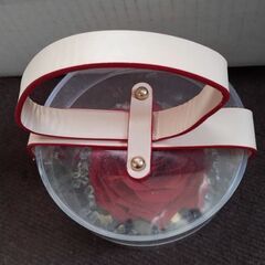 ドライフラワーの画像