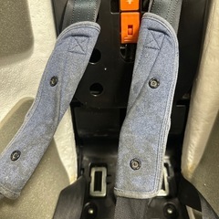 お譲り先決まりましたの画像