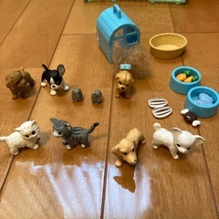 わんにゃんトリマー　にぎやかペットショップの画像