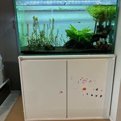 GEXグラステリア900➕GEXメガパワー9012➕GEXクリアLED POWERIII900➕GEXアクアラックウッド900WH