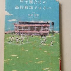 (古本)甲子園だけが高校野球ではない