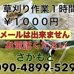 今の時期からは草刈り！！１時間￥１０００円でゴミまで処分し…