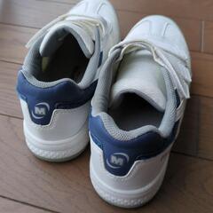 ミドリ安全　制電耐滑安全靴　24.5の画像