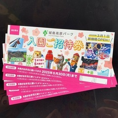 城島高原パーク入園後招待券