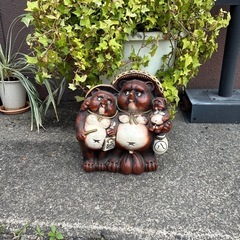 たぬき　置き物