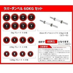 アイロテック iROTEC ダンベルセット 60kg