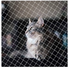 未使用　猫の脱走防止ネット