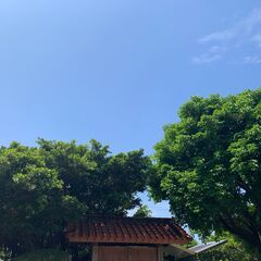 滋賀県～全国系　LINE　雑談　オプチャ　メンバー募集中