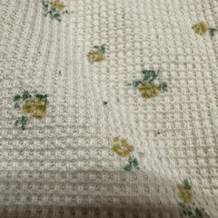 花柄パンツ セットの画像