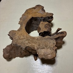 切り株