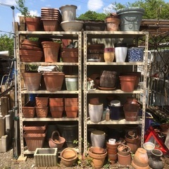 植木鉢・プランターお譲りします