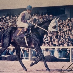 競馬パネル　３枚の画像