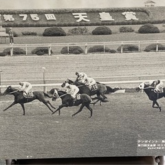 競馬パネル　３枚の画像