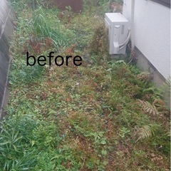 お庭の草むしりお任せください