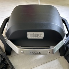weber  pulse1000