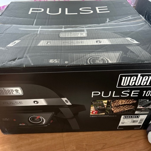 weber  pulse1000