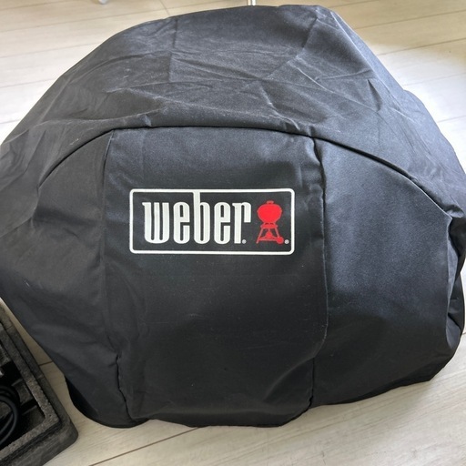 weber  pulse1000
