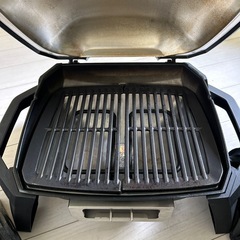 weber  pulse1000の画像