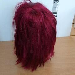 0501-041 ウィッグ ワインレッド