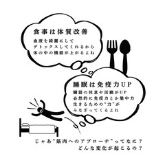 5月22日29日！オンライン解剖学講座【無料】体験会やるよー！の画像