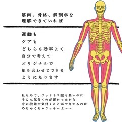 5月22日29日！オンライン解剖学講座【無料】体験会やるよー！の画像