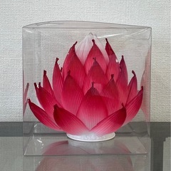 蓮の花ワークショップの画像