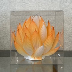 蓮の花ワークショップの画像