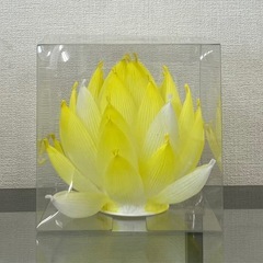 蓮の花ワークショップの画像