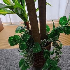 【美品!】観葉植物☆フェイクグリーンの画像
