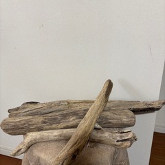 流木4本セットの画像