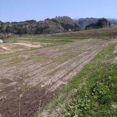 №B470【福島県喜多方市熊倉町、北塩原村】田11筆あげます！