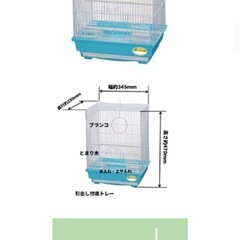 鳥の手のり用バードパレスパーム