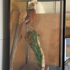 置物の画像