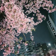 愛知*岐阜*三重グルチャ募集☺️