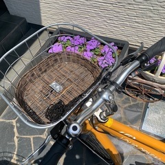 【美品自転車】ルイガノ[louisgarneau]バイク　　の画像