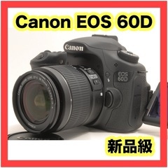 ショット数58回！ Canon EOS 60D レンズキット 1...