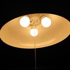 ニトリ　照明2個セットの画像