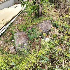 庭石、欲しい方おられませんか？