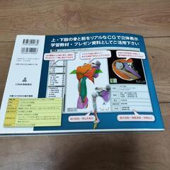 MRI断層解剖アトラスの画像