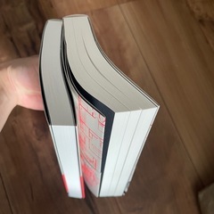 変な家2冊の画像