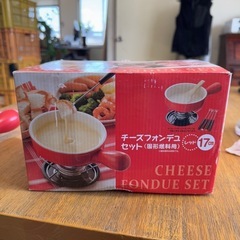 【伊那市引き取り限定】チーズフォンデュセット