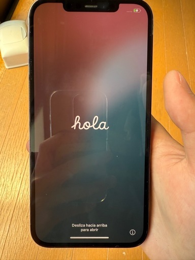 iPhone12pro max 256GB
