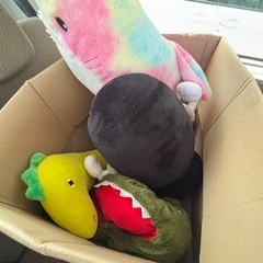 ぬいぐるみ　セット