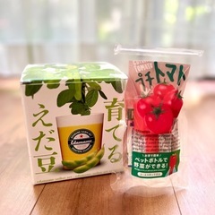 【2種セット】育てる枝豆　ペットボトルで育てられるプチトマト　え...