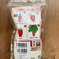 【2種セット】育てる枝豆　ペットボトルで育てられるプチトマト　えだまめ　トマト　家庭栽培　野菜　自由研究　の画像