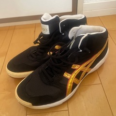 アシックス　バレーシューズ