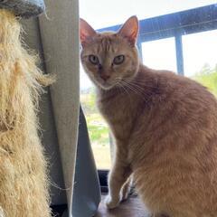 🐱顔立ちいいイケメン男子🐱