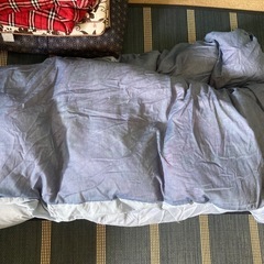 羽毛布団　座布団　毛布の画像