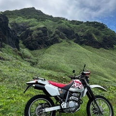 ホンダ　xr250 MD30 オフロード　