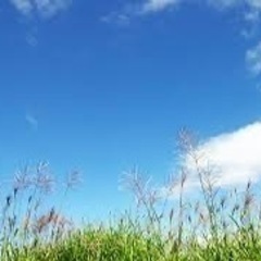 AI関連教えます。
